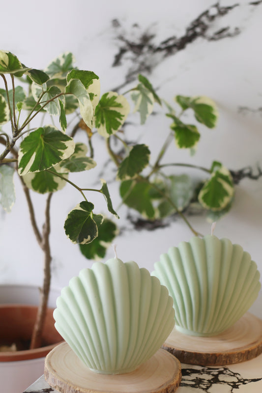 Green Shell Soy Candle
