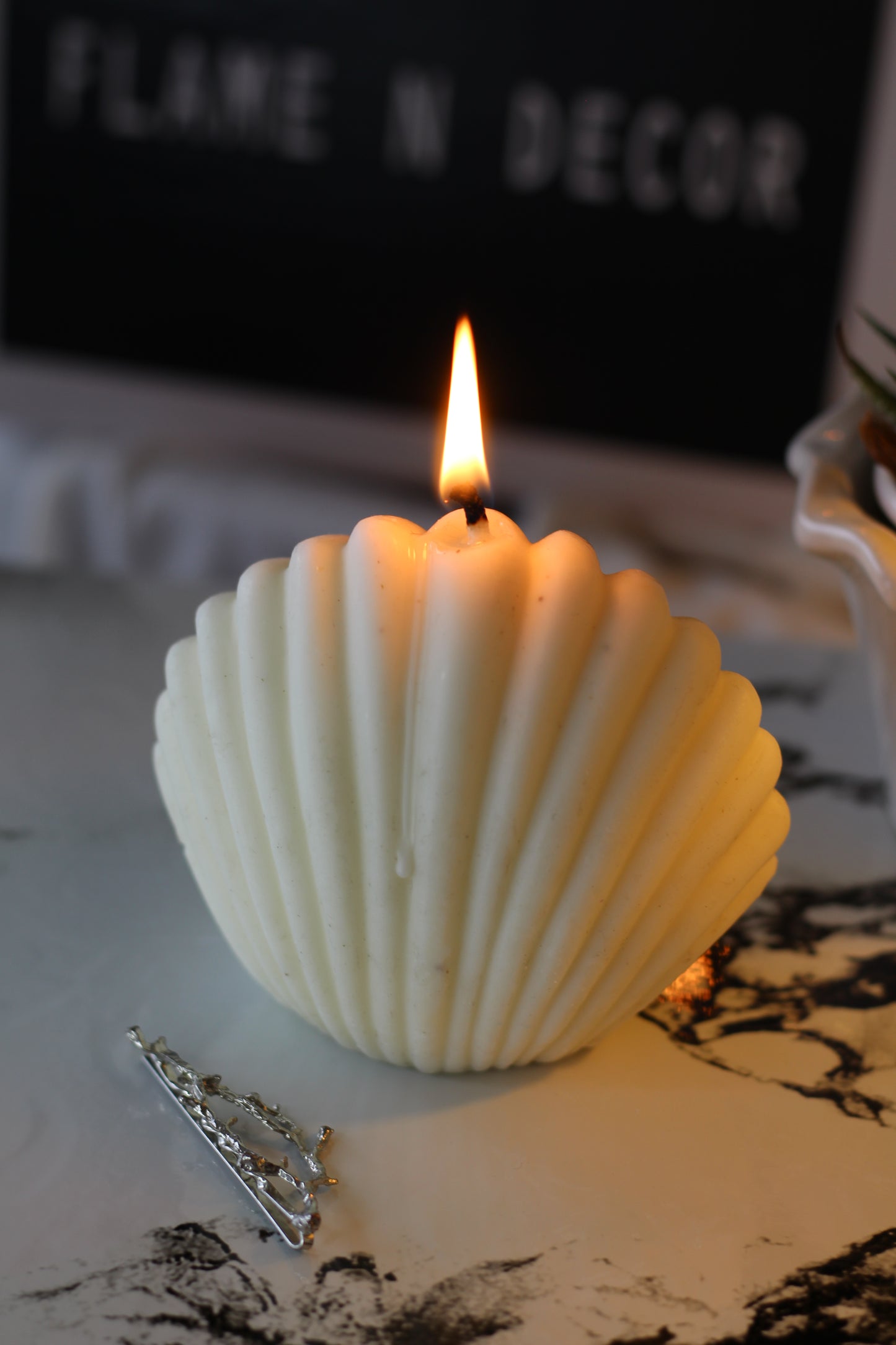 White Shell Soy Candle
