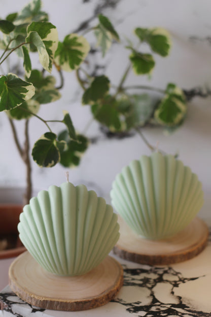 Green Shell Soy Candle - Set of 2