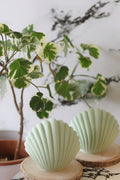 Green Shell Soy Candle
