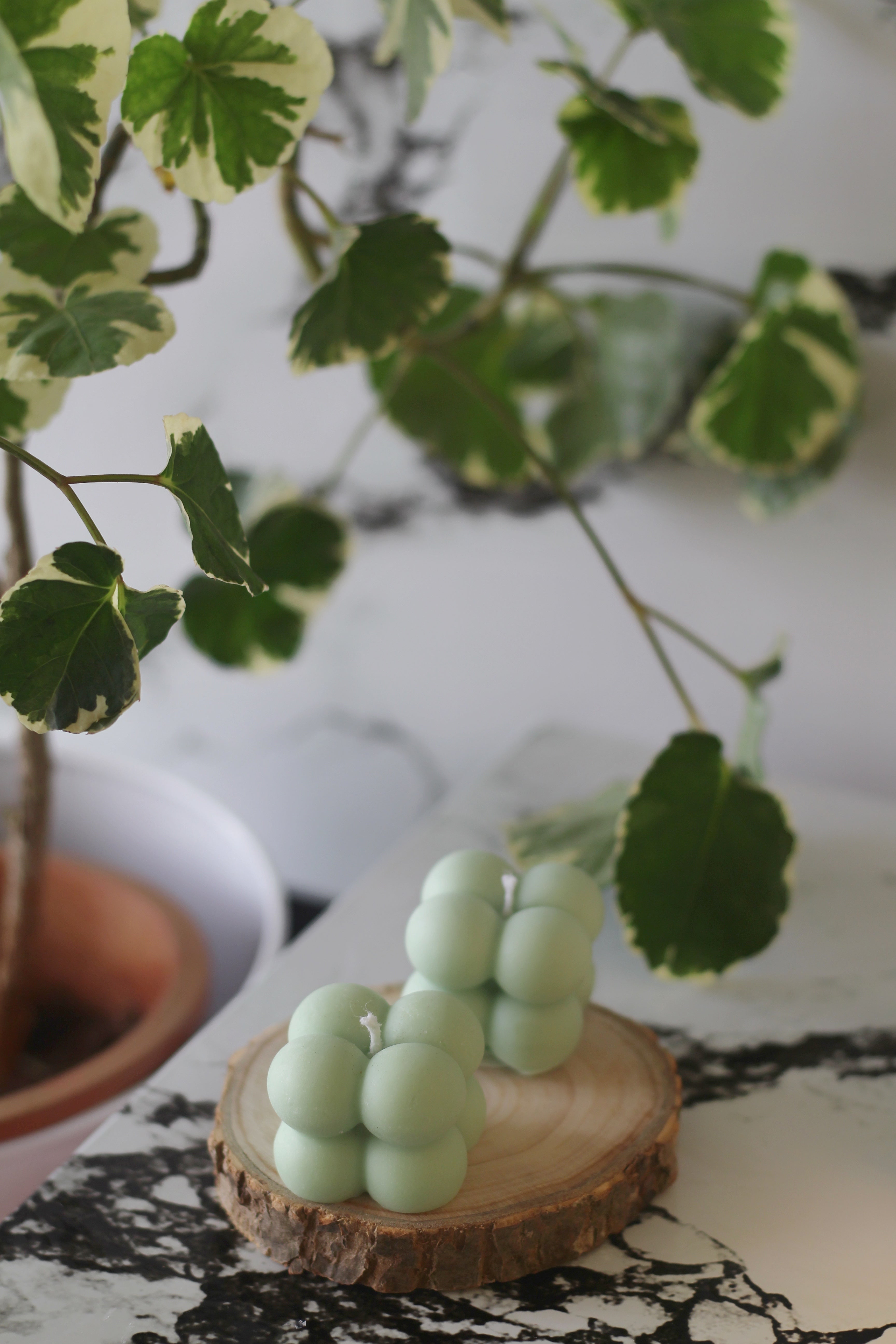 Green Mini Cloud Bubble Soy Candle  | Pack of 4