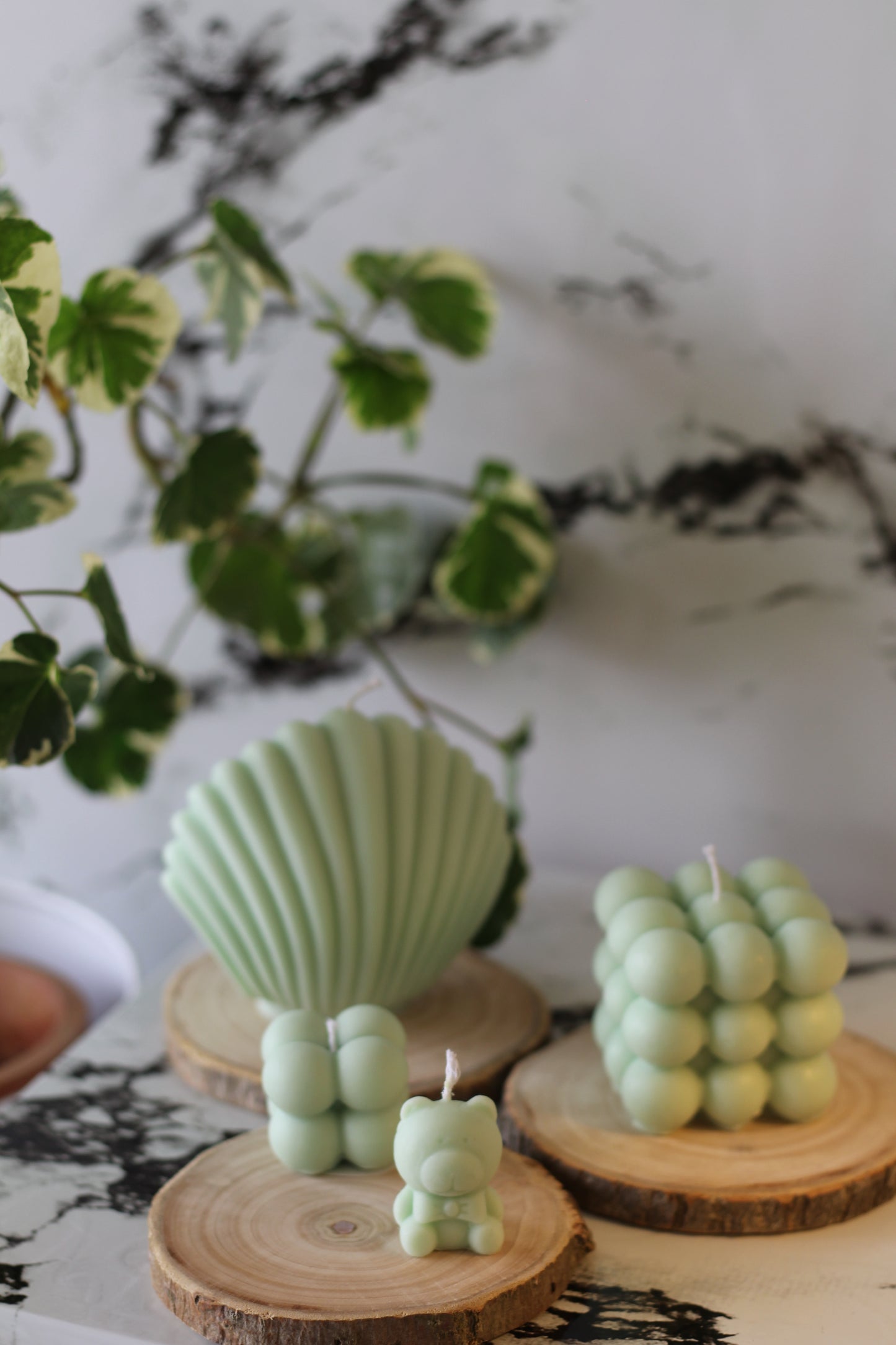 Combo of Green Bubble & Shell Candle