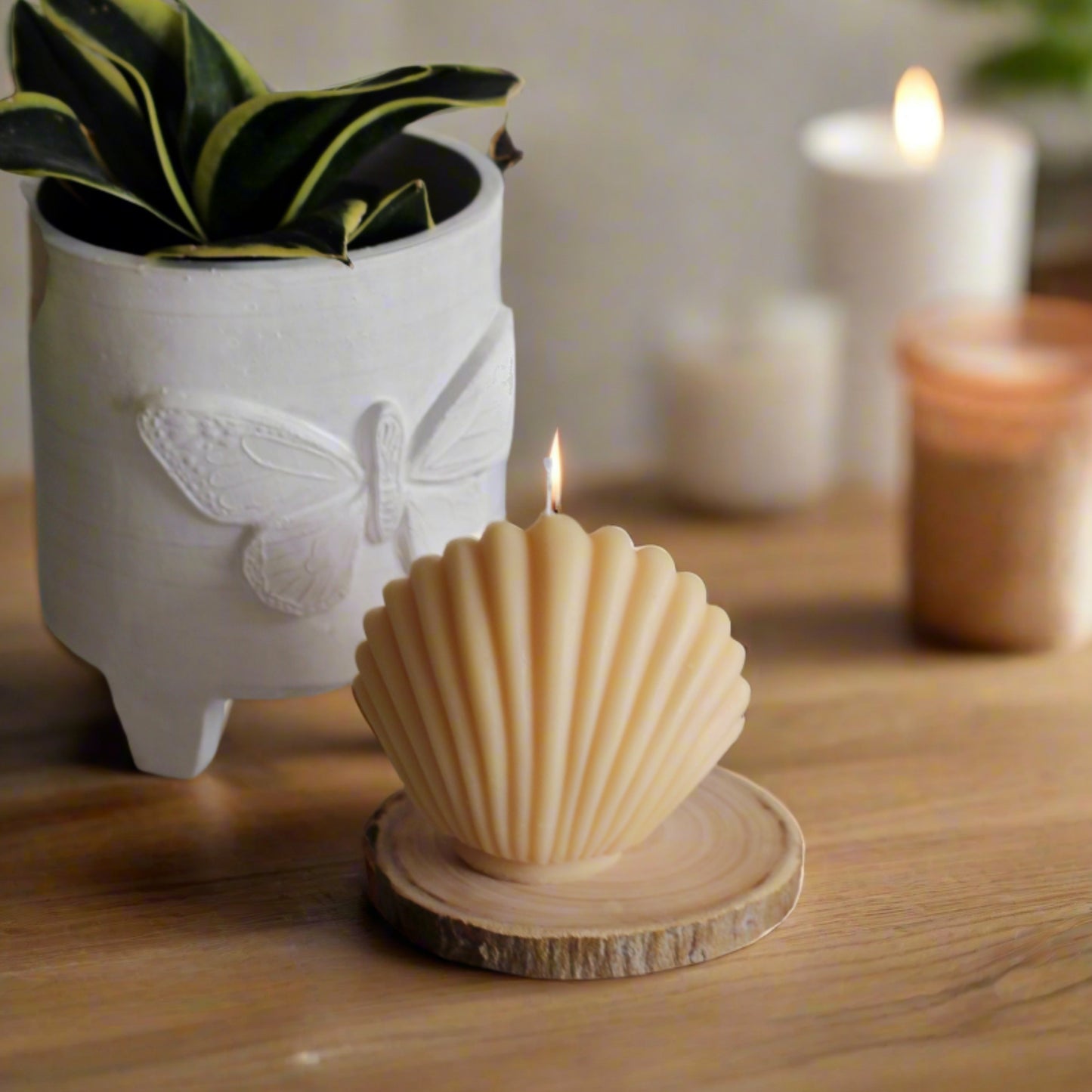 Beige Shell Soy Candle