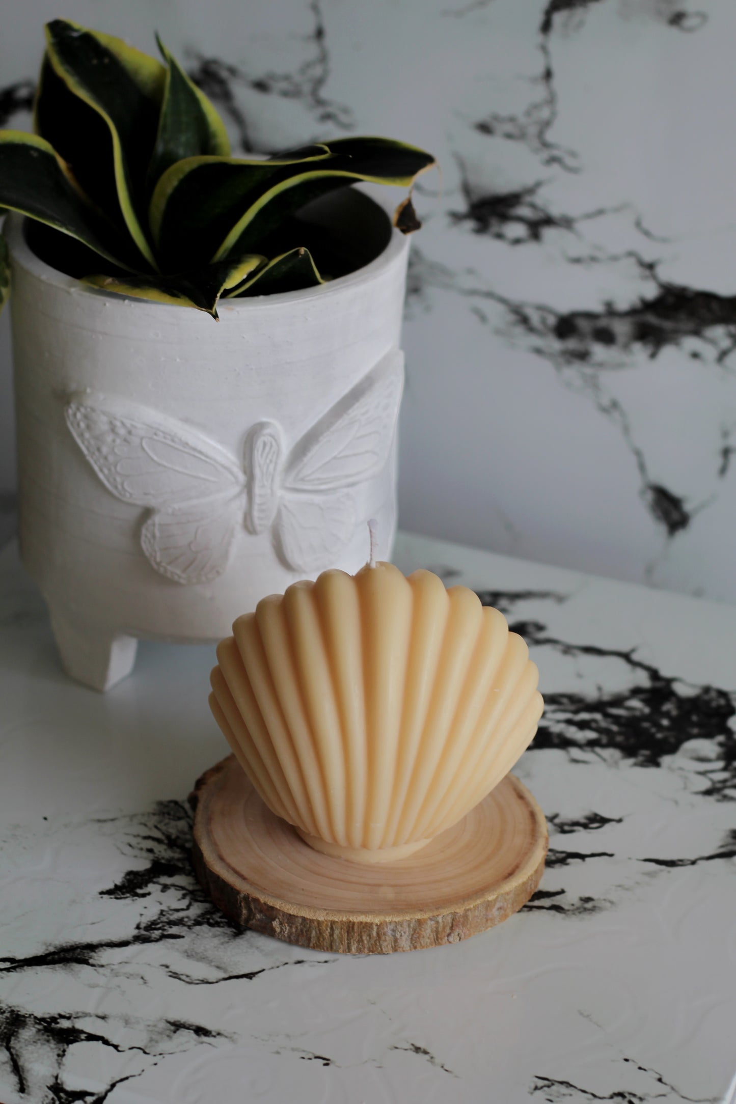 Beige Shell Candle | Soy Candle