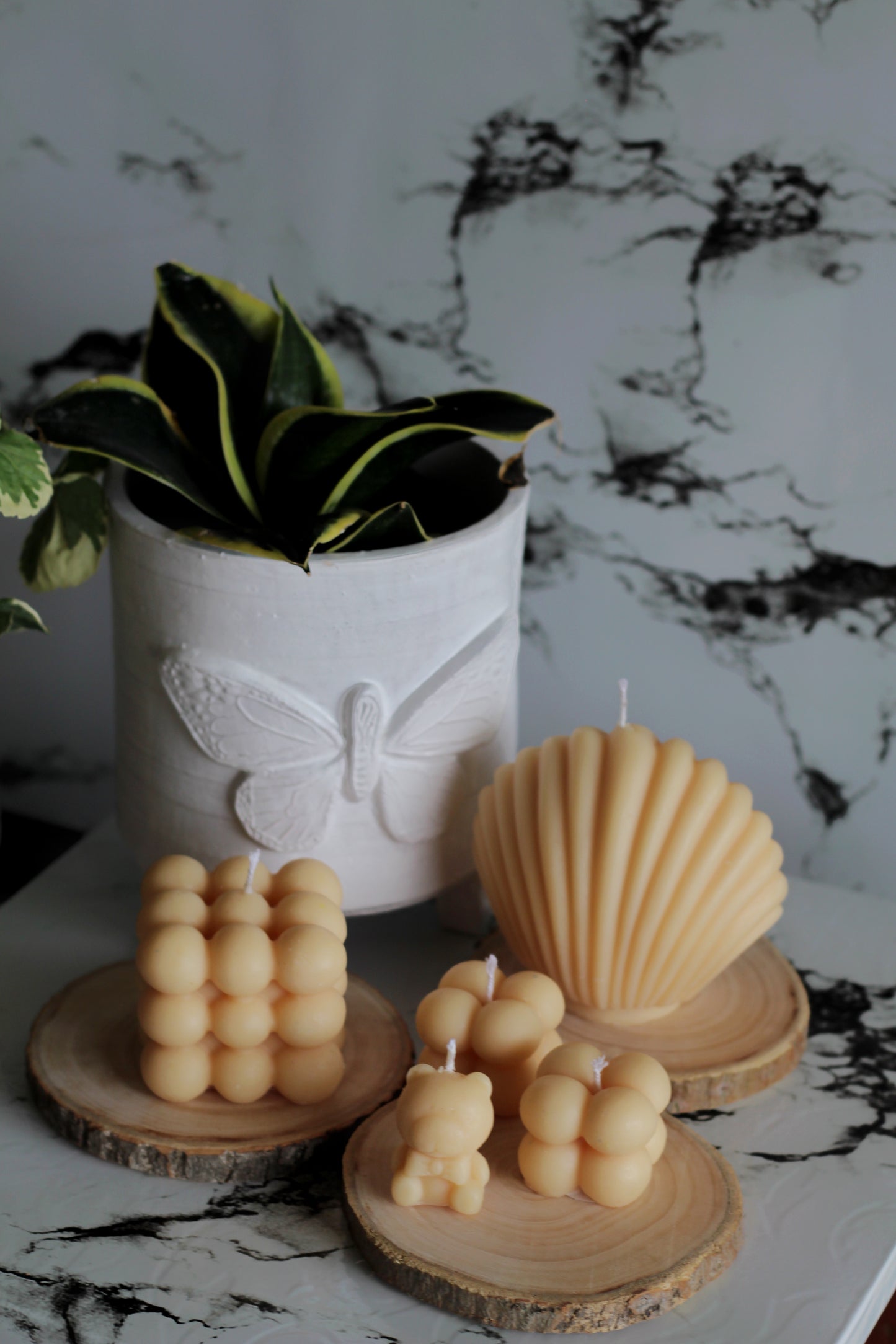 Combo of Beige Bubble & Shell Soy Candles