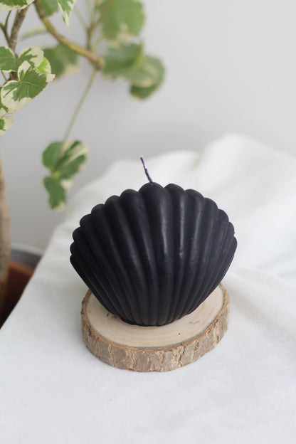 Black Shell Candle From Figure Candle Collection
