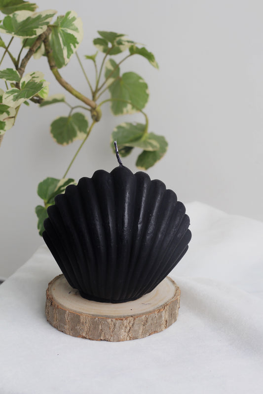 Black Shell Candle From Figure Candle Collection set of 2