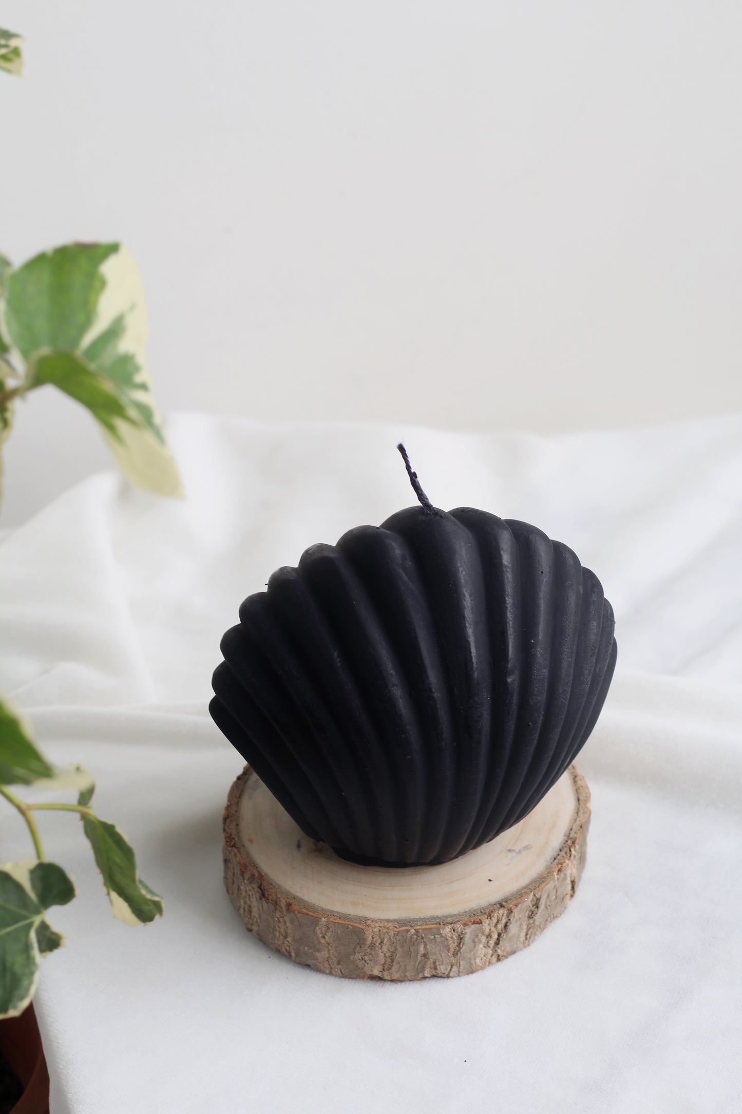 Black Shell Candle From Figure Candle Collection