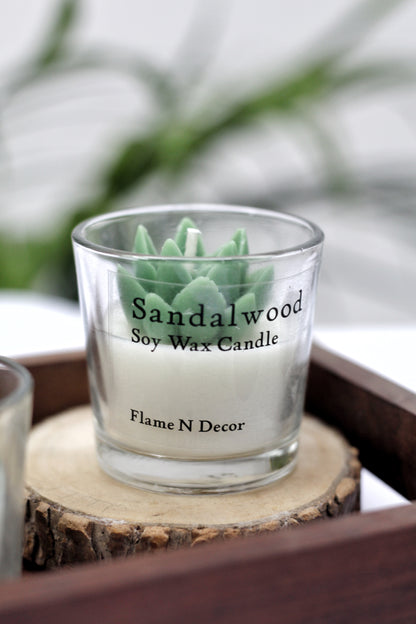 Combo Succulent Candle - Sandalwood | Set of 2